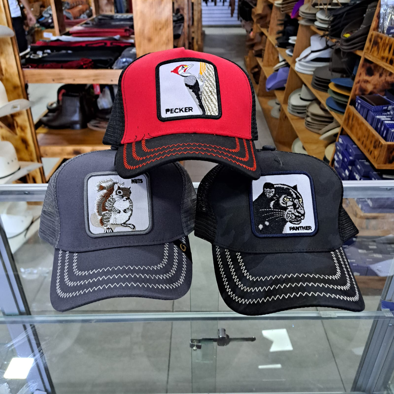 Gorra animal VARIEDAD DE DISEÑOS