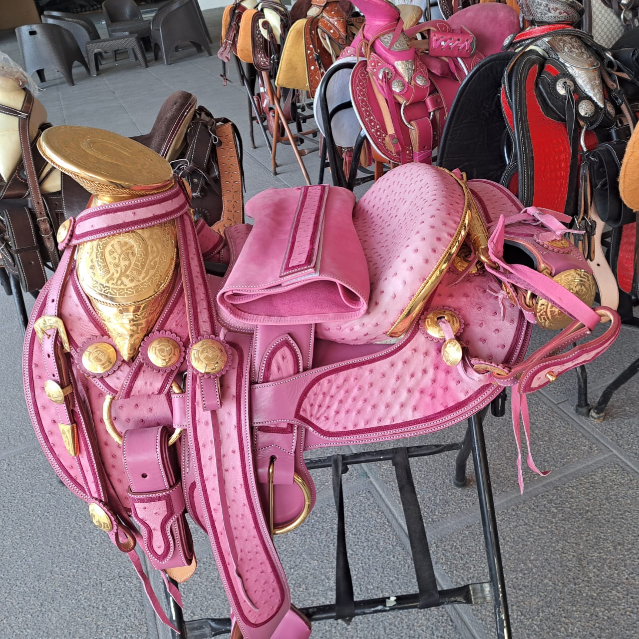 Montura de avestruz rosada chap oro