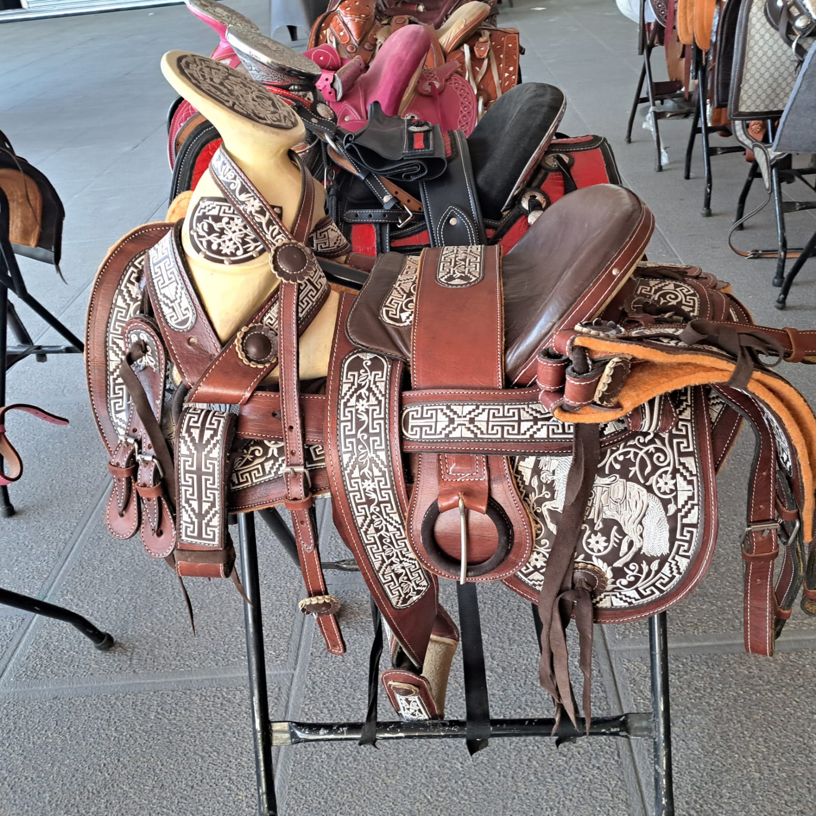 MONTURA BORDADA CHARRA VARIEDAD