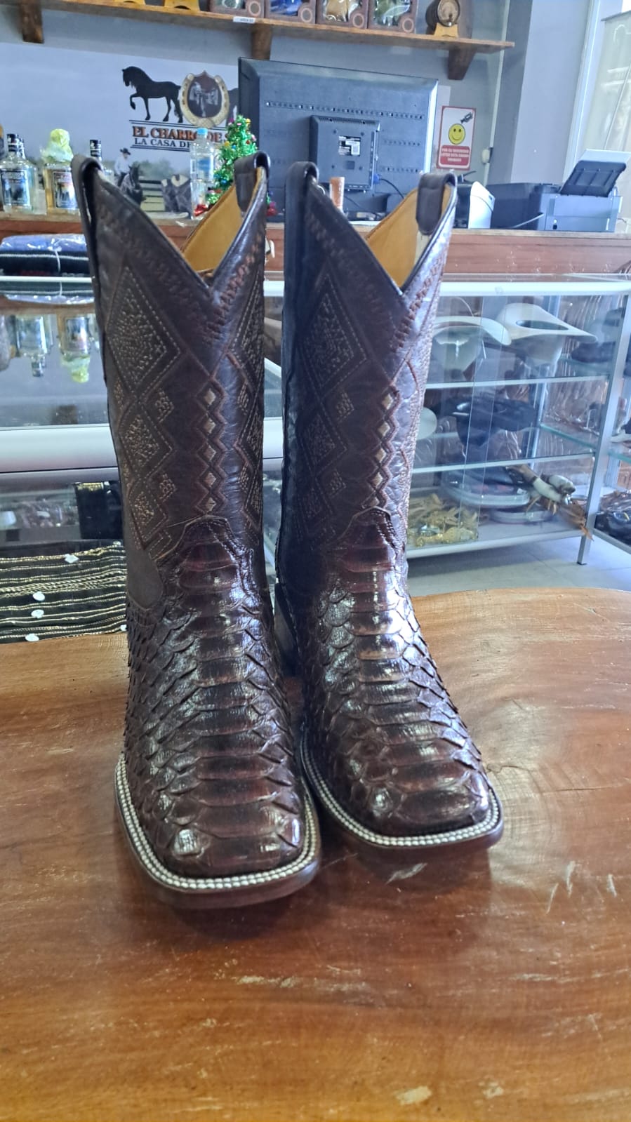 BOTA PYTHON CAFE CHOCO